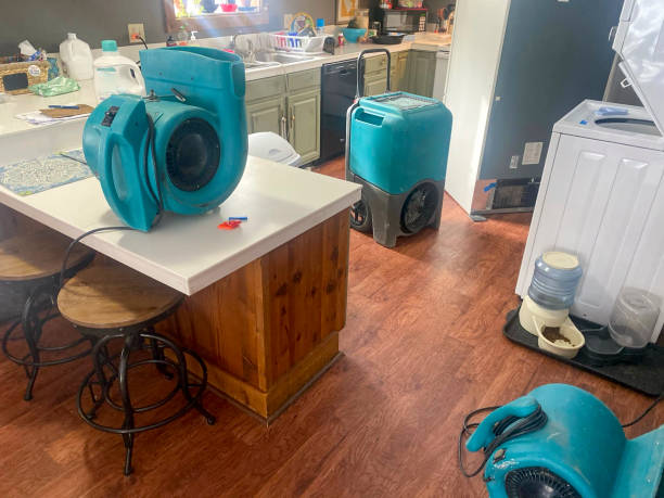 Best Local water damage restoration  in Cumberland Center, ME