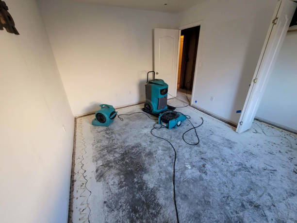 Best Carpet water damage restoration  in Cumberland Center, ME
