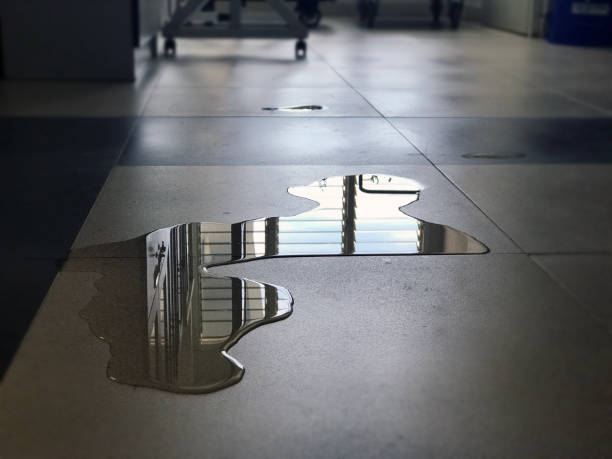 Best 24/7 water damage repair  in Cumberland Center, ME